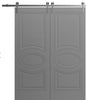 Mela 7001 Interior barn door