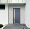 Deux 0729 Exterior Aluminum Door GRAY GRAPHITE