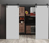 Planum 0010 Interior Double Barn Door