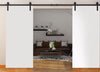 Planum 0010 Interior Double Barn Door