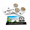 EcoFirm Trapezoid Grinding Plate