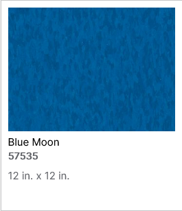 Armstrong Standard Excelon Imperial Texture – DF Studio NYC
