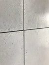 Ecofirm Concrete Wall Panels 2'x4'