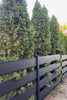 Green Wood Fence